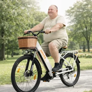 Elektrische seniorenfiets